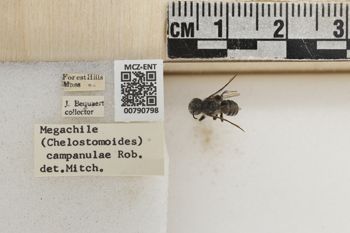 Media type: image;   Entomology 790798 Aspect: Labels
